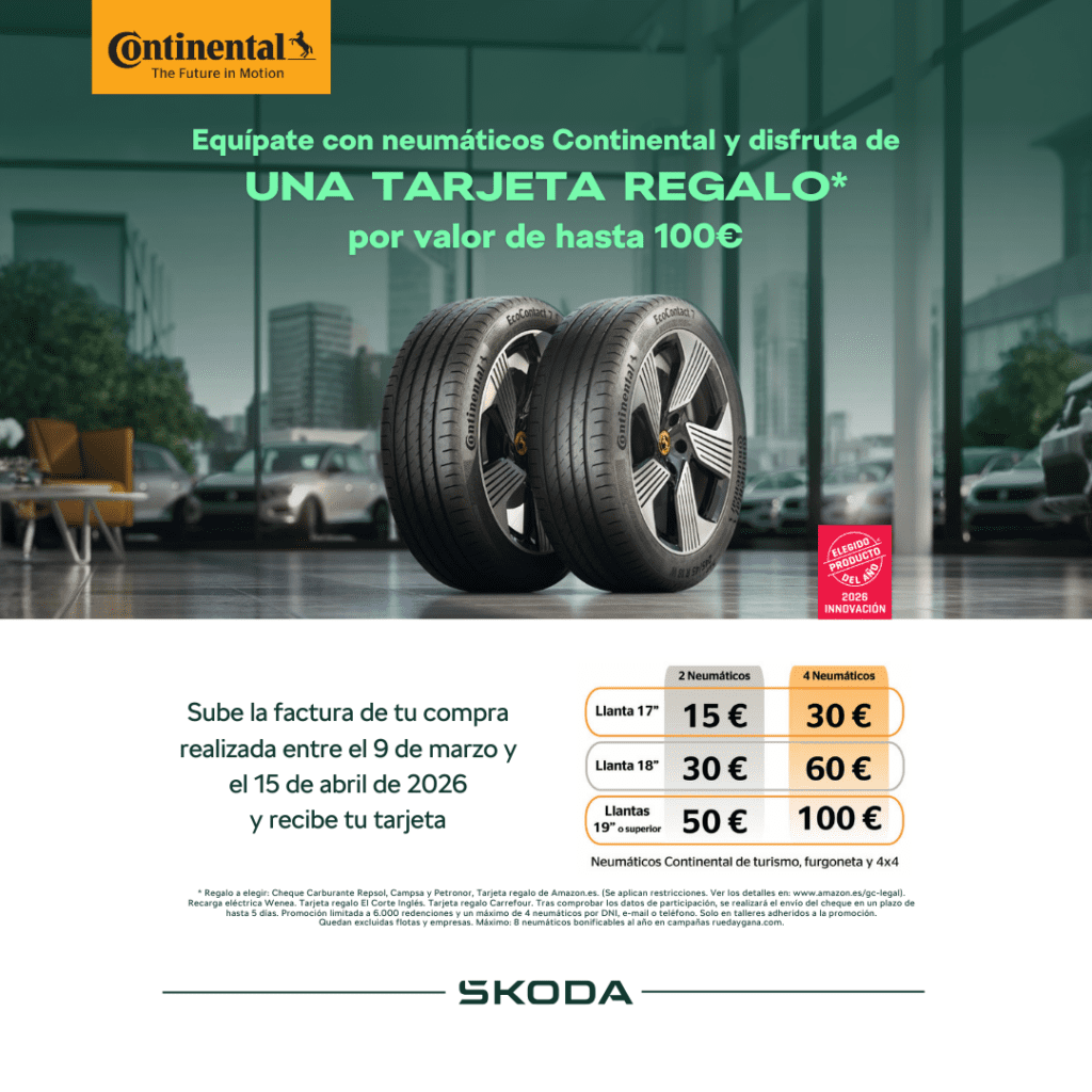 Los neumáticos juegan un papel fundamental en la experiencia de conducción. Asimismo, los neumáticos contribuyen a la seguridad en la conducción, prestando un excelente agarre sobre terrenos secos y sobre mojados.