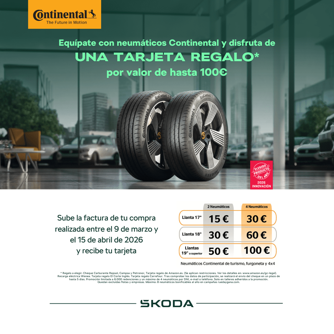 Los neumáticos juegan un papel fundamental en la experiencia de conducción. Asimismo, los neumáticos contribuyen a la seguridad en la conducción, prestando un excelente agarre sobre terrenos secos y sobre mojados.
