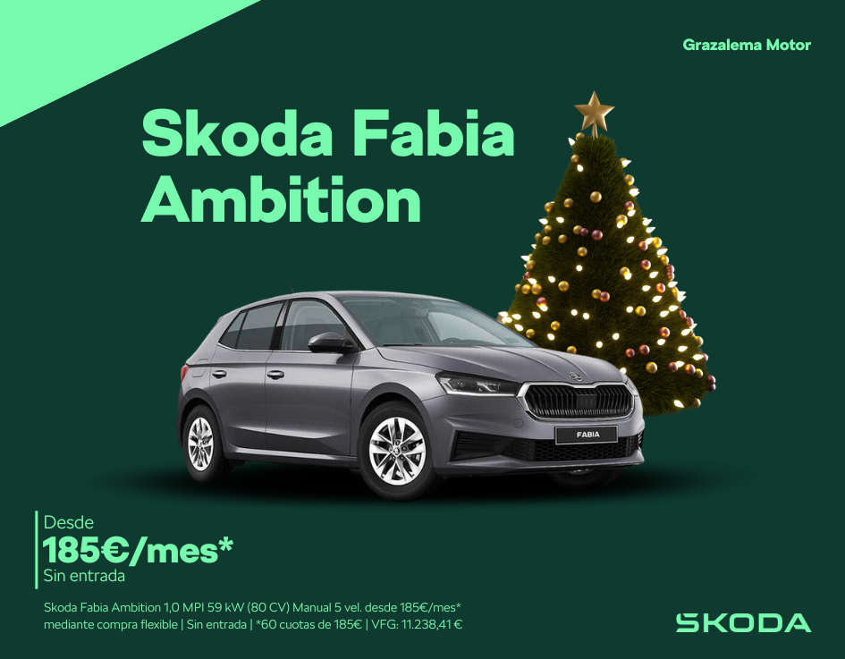 Descubre Skoda Fabia a 185€/mes* sin entrada y vive la innovación.
