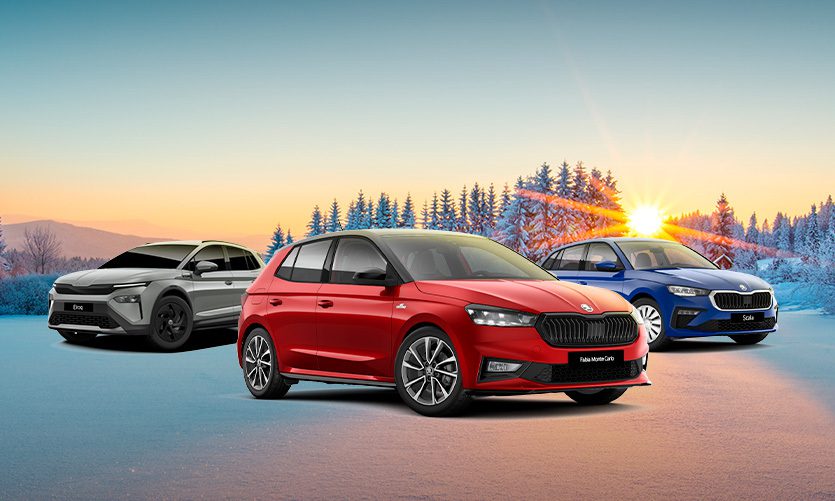 Tu nuevo Škoda Fabia