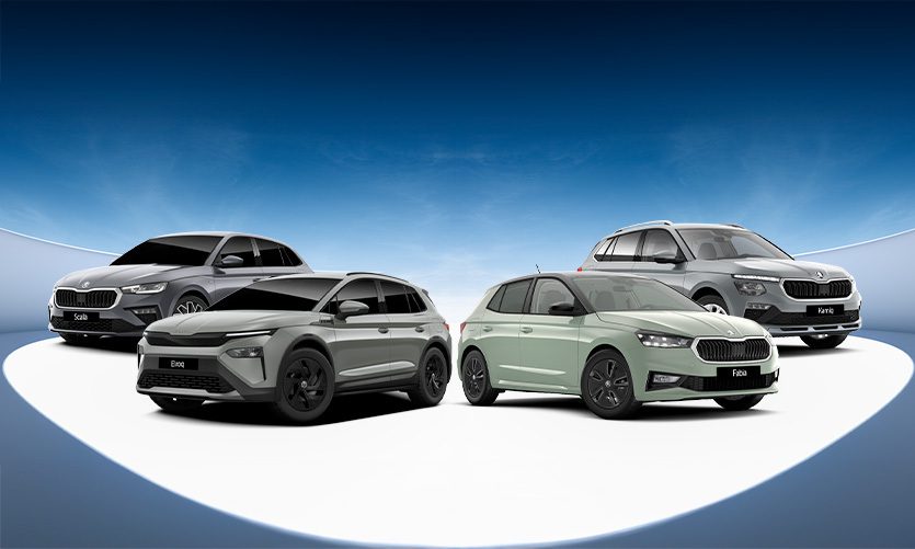 Tenemos el Škoda que buscas al mejor precio